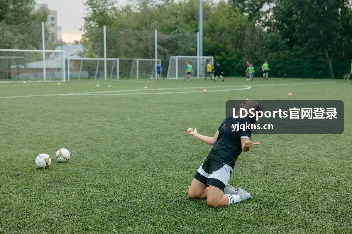 LDSports官网登录长期内容追踪与订阅